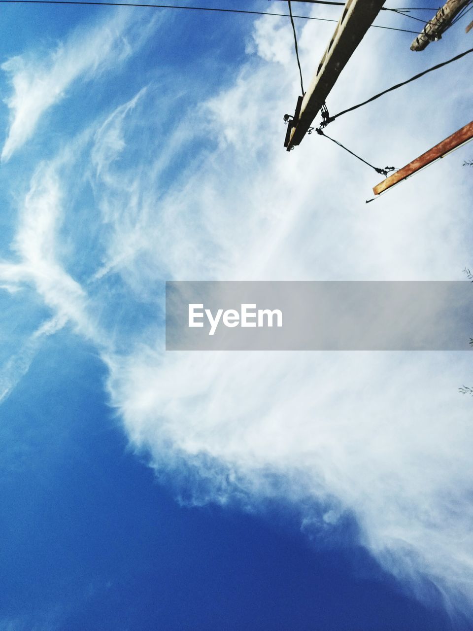 LOW ANGLE VIEW OF TREE AND SKY