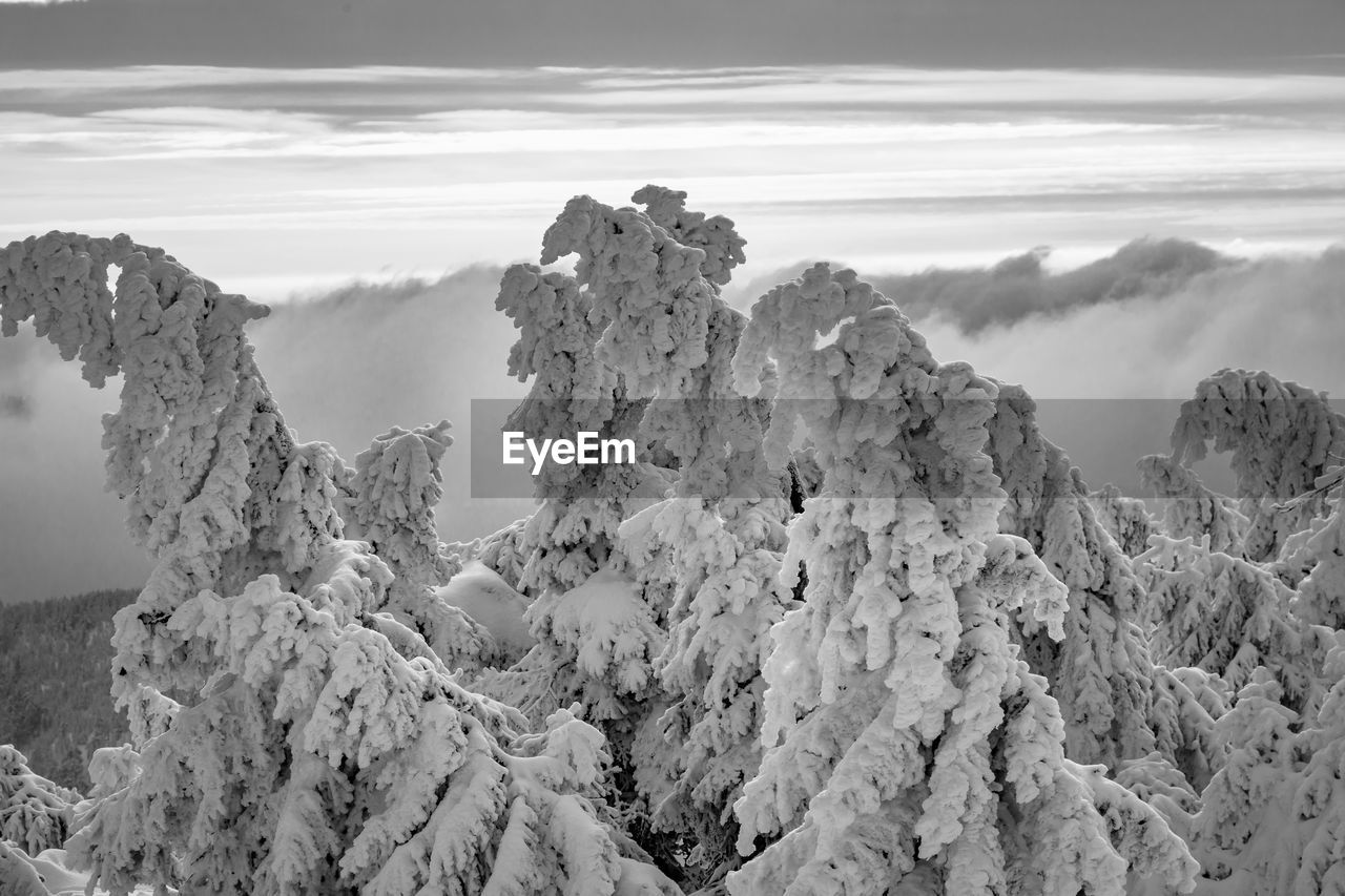 Scenic view of snow covered land against sky