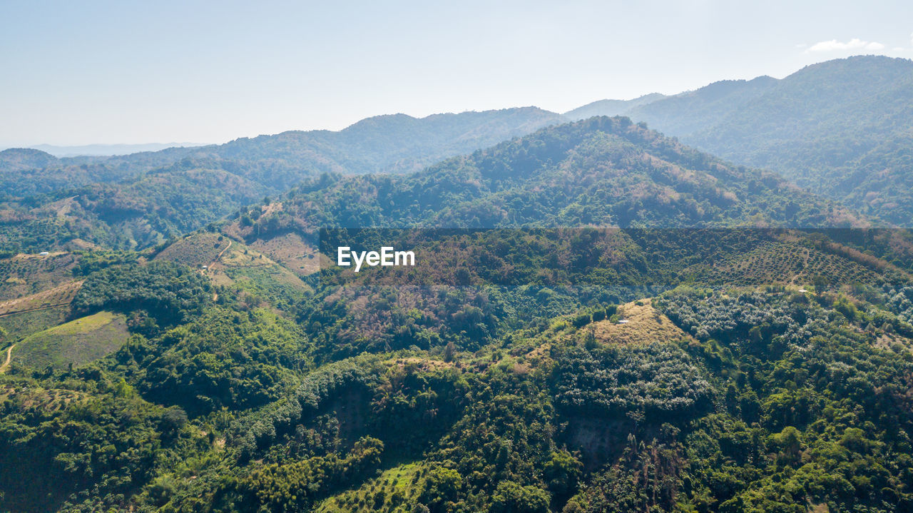 Deforestation and landuse planning in highland at nan province thailand, environmental 