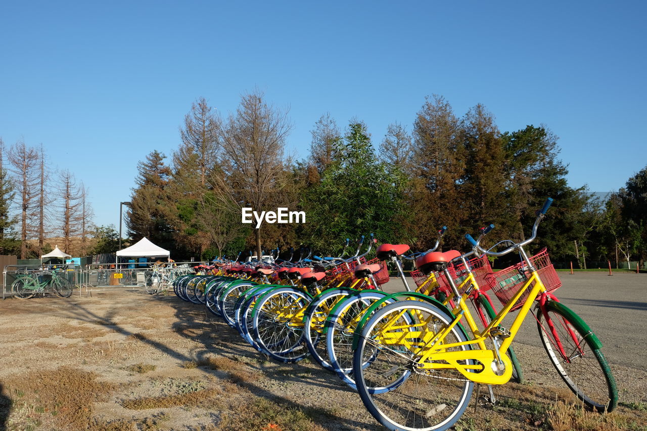 Bicycles in a row by trees