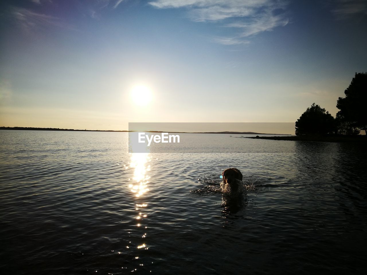 VIEW OF SWIMMING IN SEA