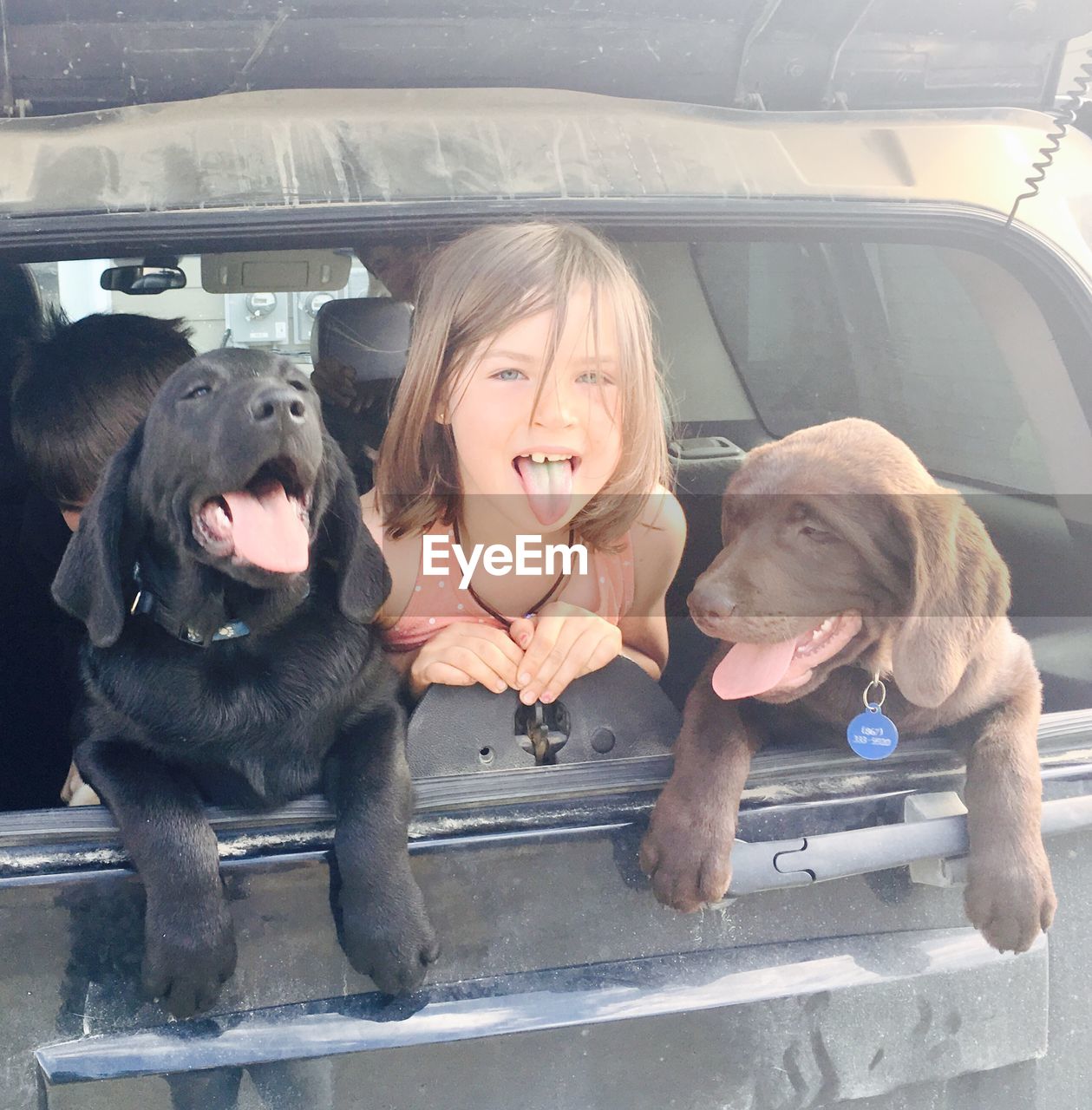 PORTRAIT OF DOG WITH PEOPLE IN CAR