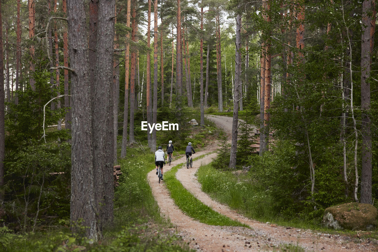 View of people cycling through forest