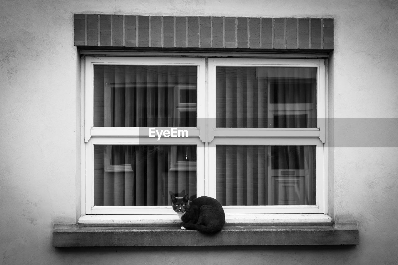 Cat sitting on window sill of building