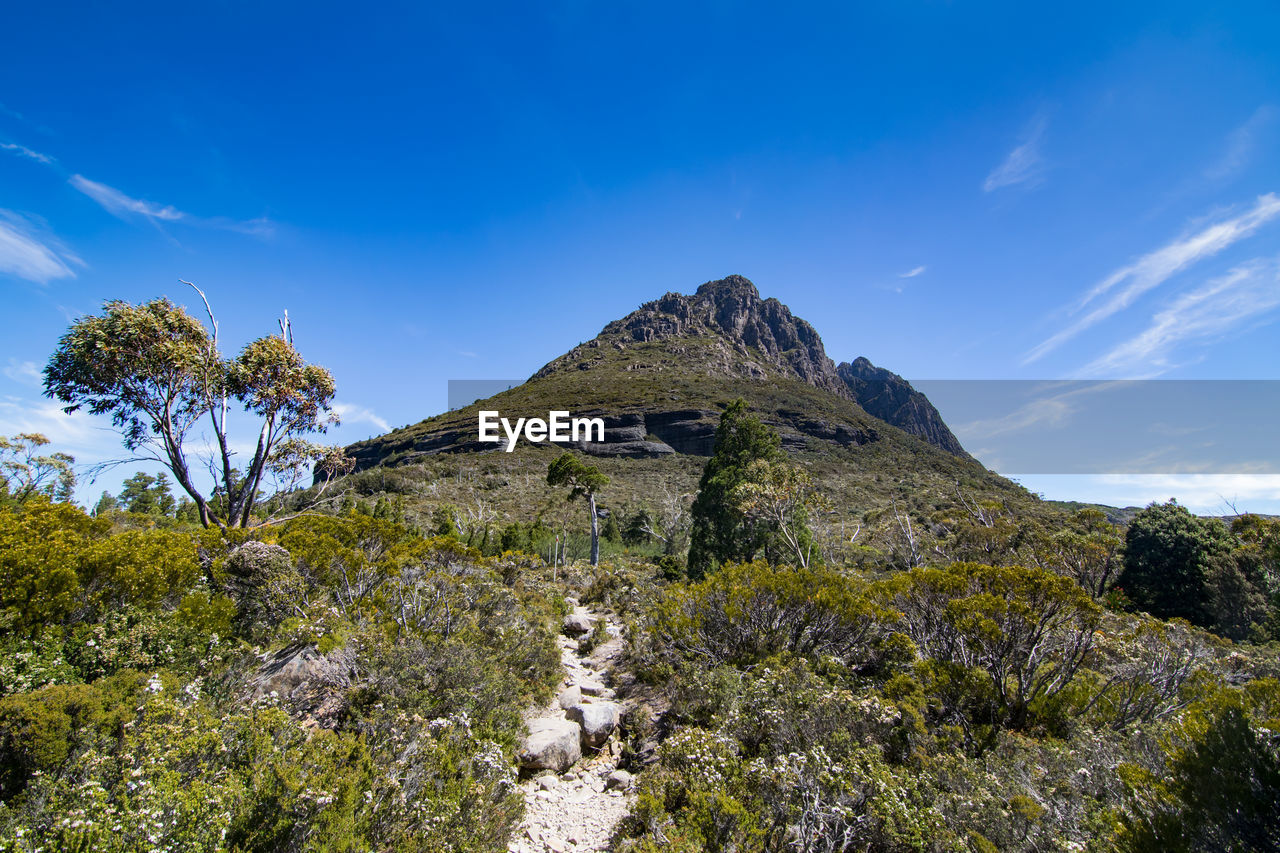 Landscape at cradle mountain-lake st clair national park