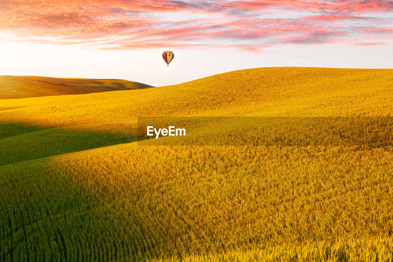 Hot air balloons on field against sky during sunset