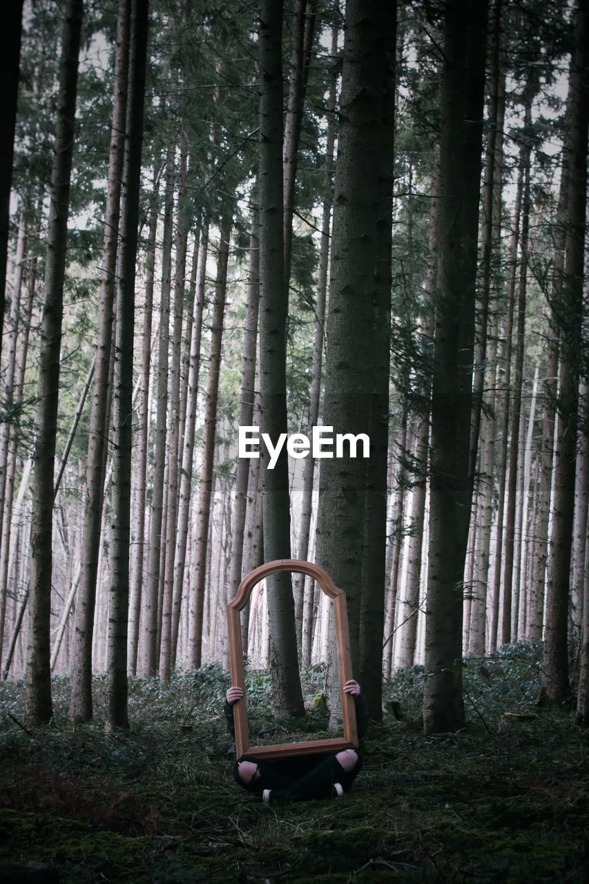 Person holding mirror against trees in forest