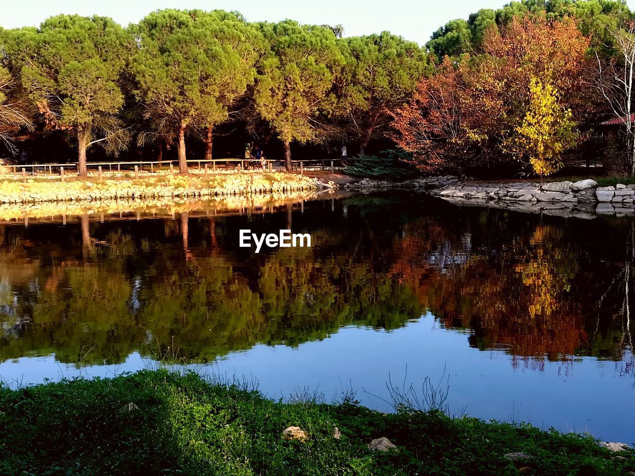 SCENIC VIEW OF LAKE WITH TREES REFLECTION