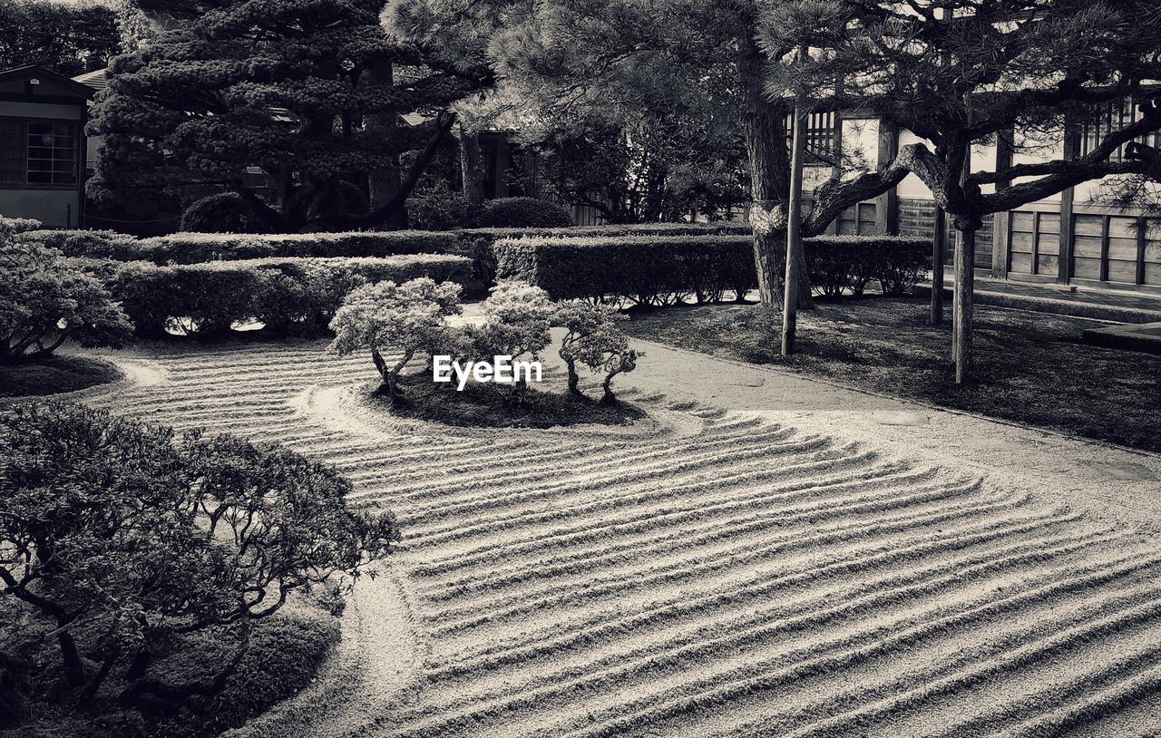 plant, black and white, tree, monochrome, monochrome photography, nature, day, white, architecture, park, built structure, no people, park - man made space, sunlight, bench, growth, outdoors, black, seat, transportation, footpath, building exterior, park bench, railing, snow