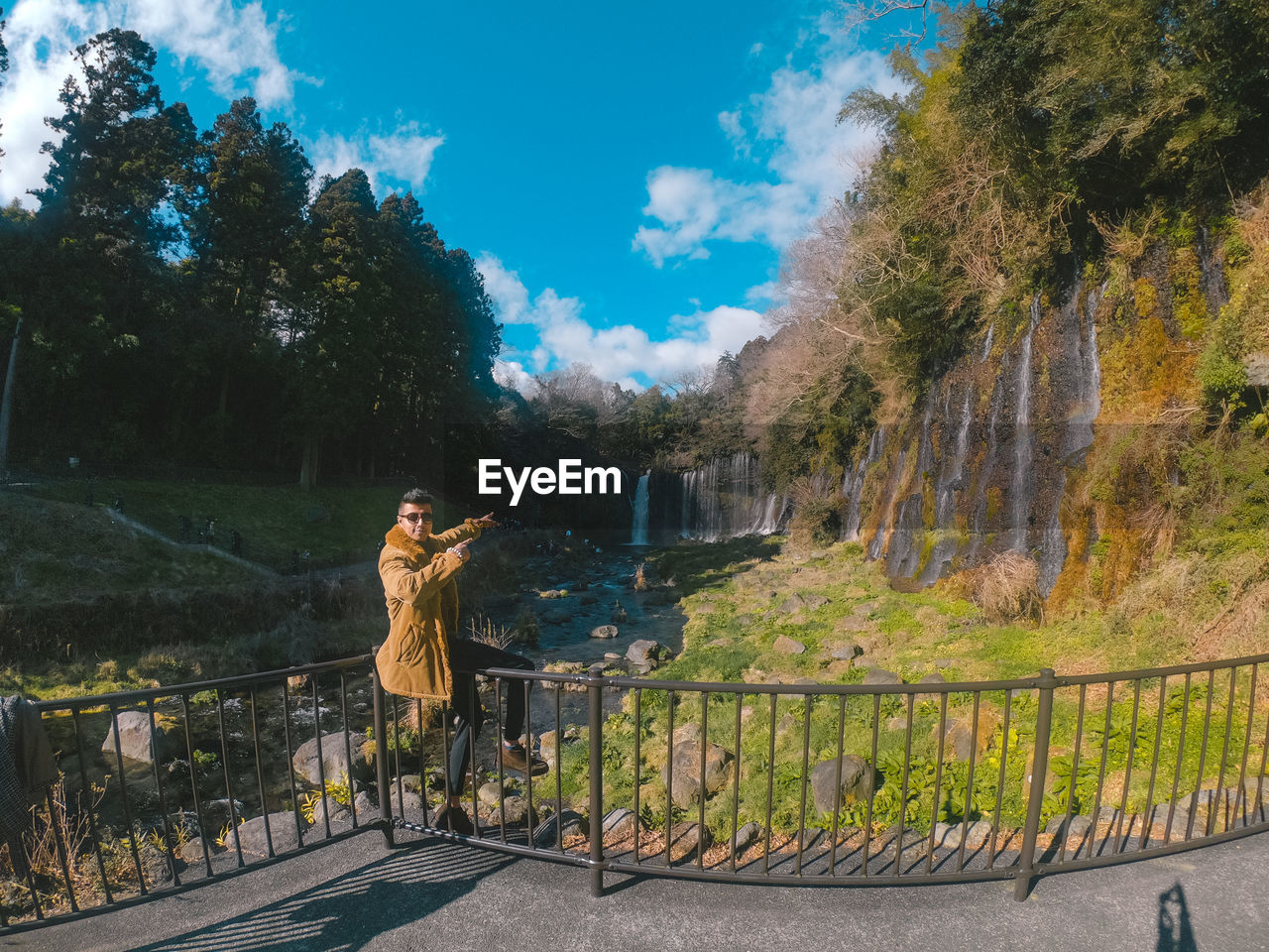 Woman standing by railing against trees