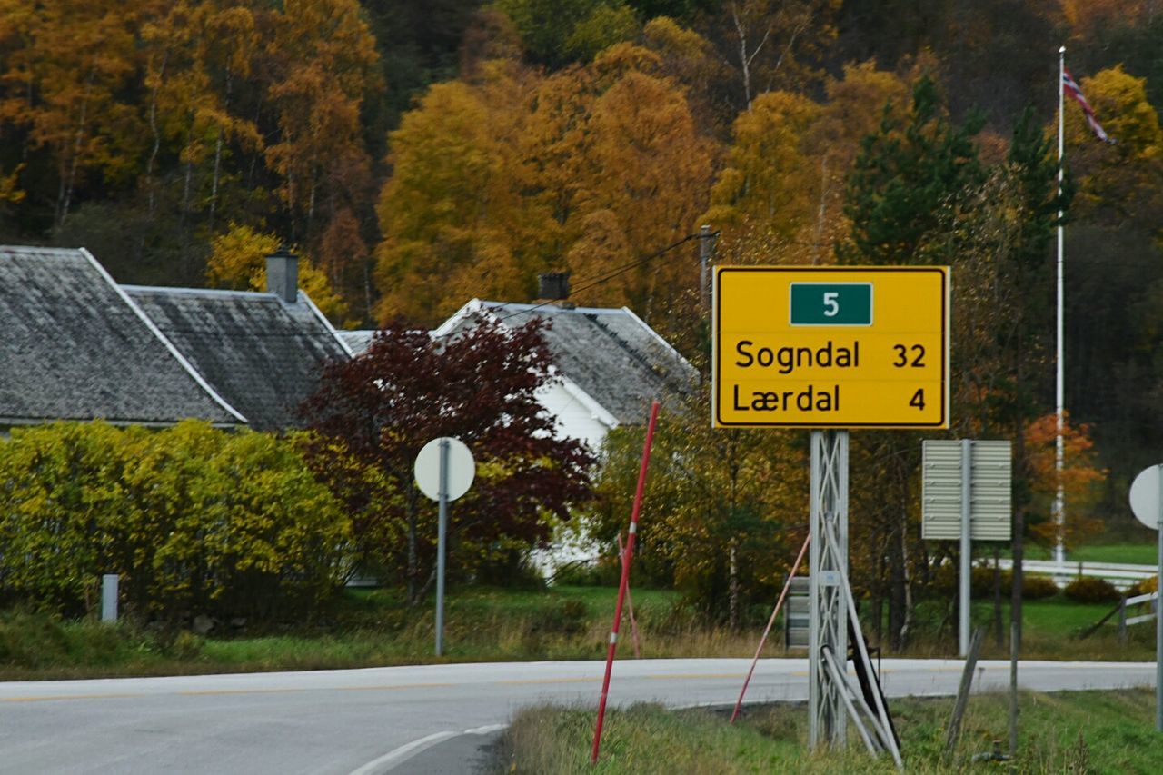 Information sign by road against autumn trees