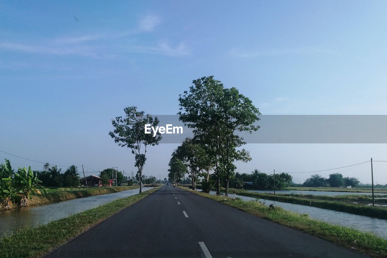 ROAD BY TREES AGAINST SKY