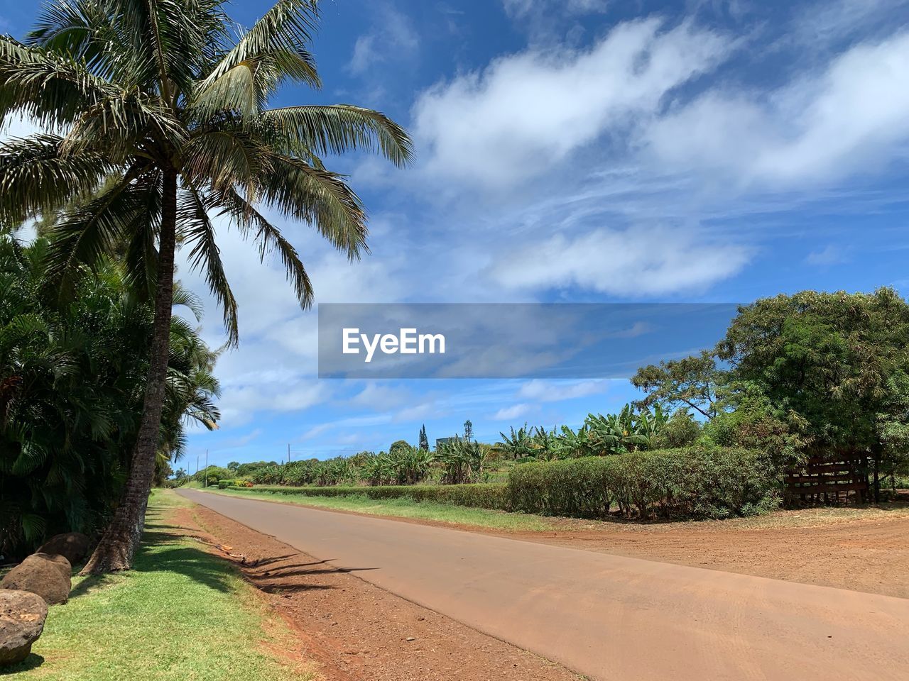 ROAD BY TREES AND PLANTS AGAINST SKY