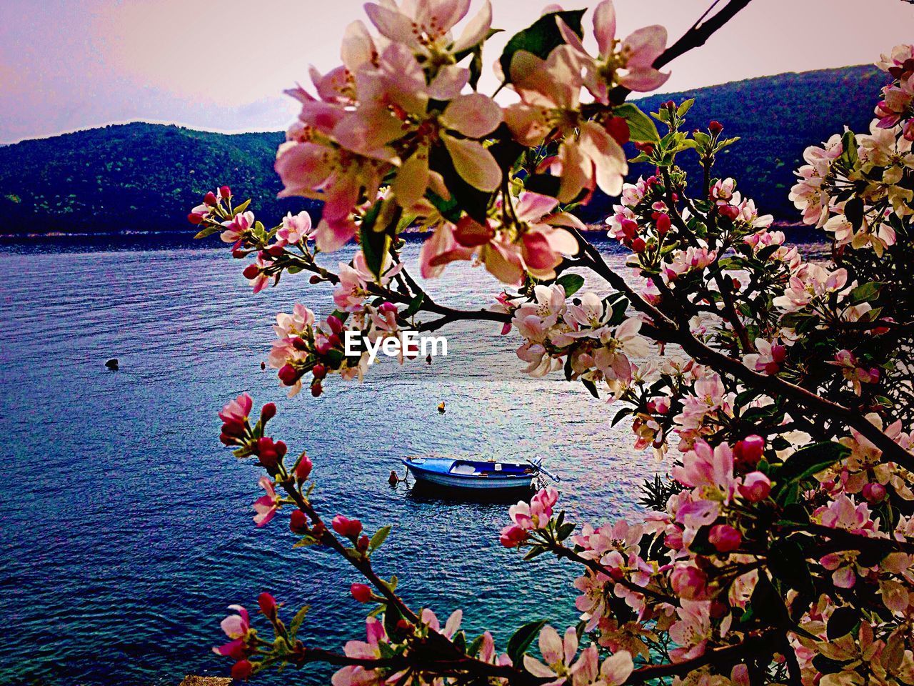 VIEW OF BOAT IN WATER