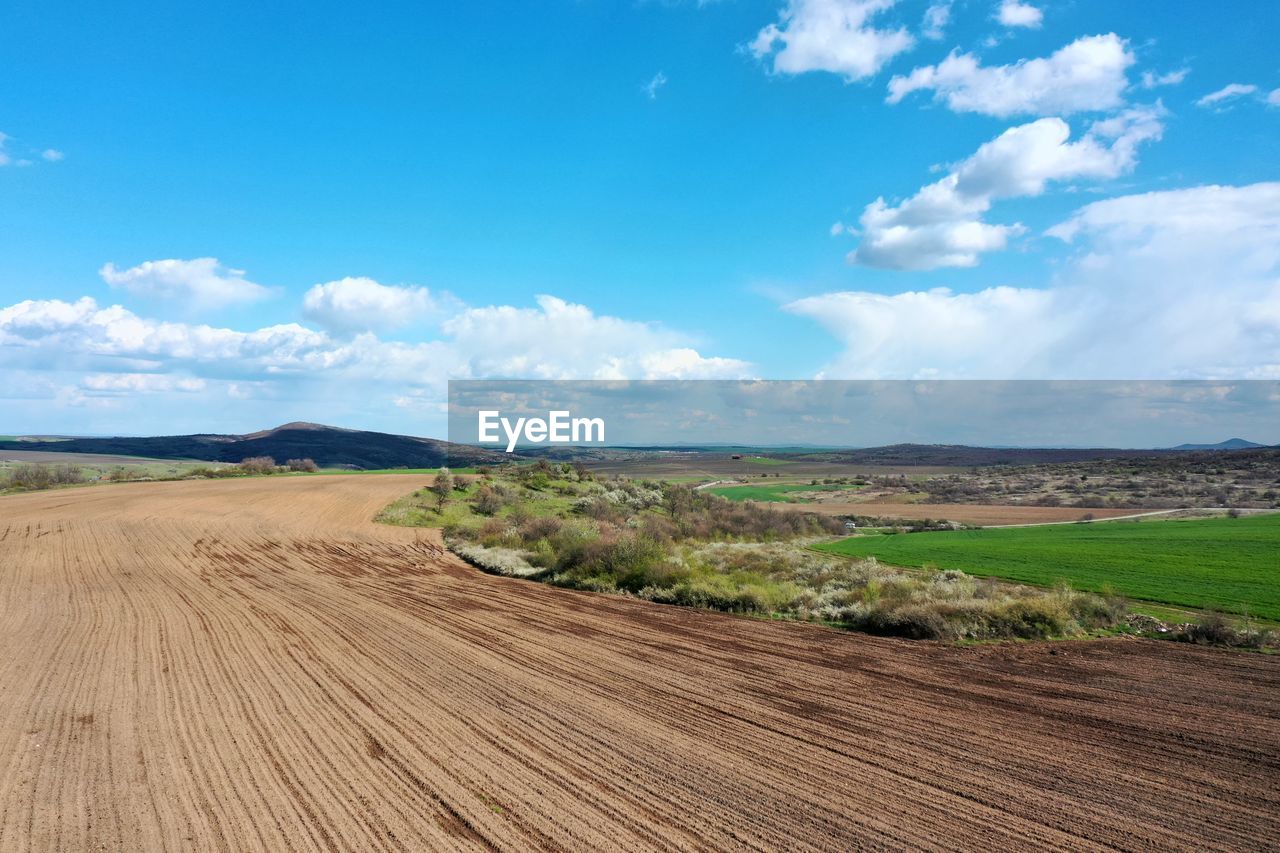 Scenic view of agricultural field against sky