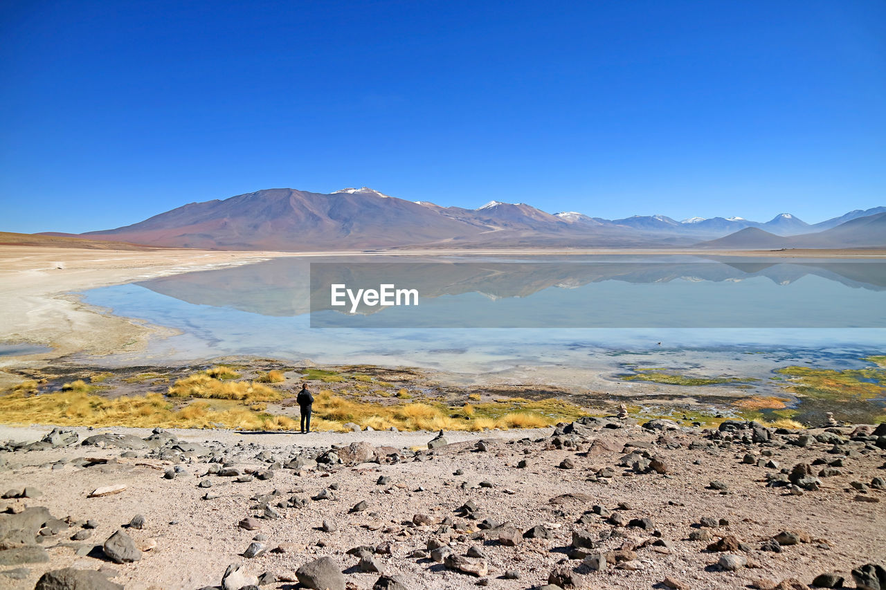 Laguna blanca or 'the white lake' in eduardo avaroa andean fauna national reserve, bolivia