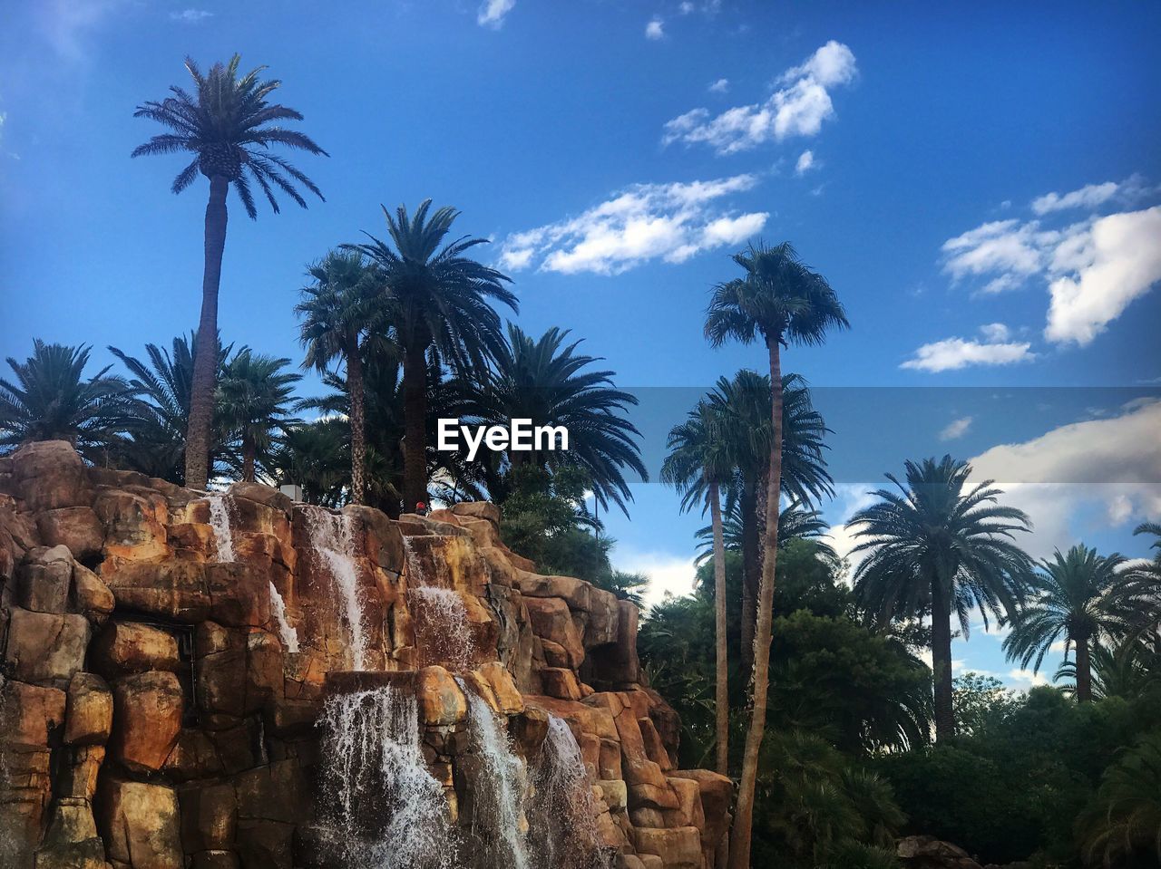 LOW ANGLE VIEW OF PALM TREES BY ROCKS AGAINST SKY