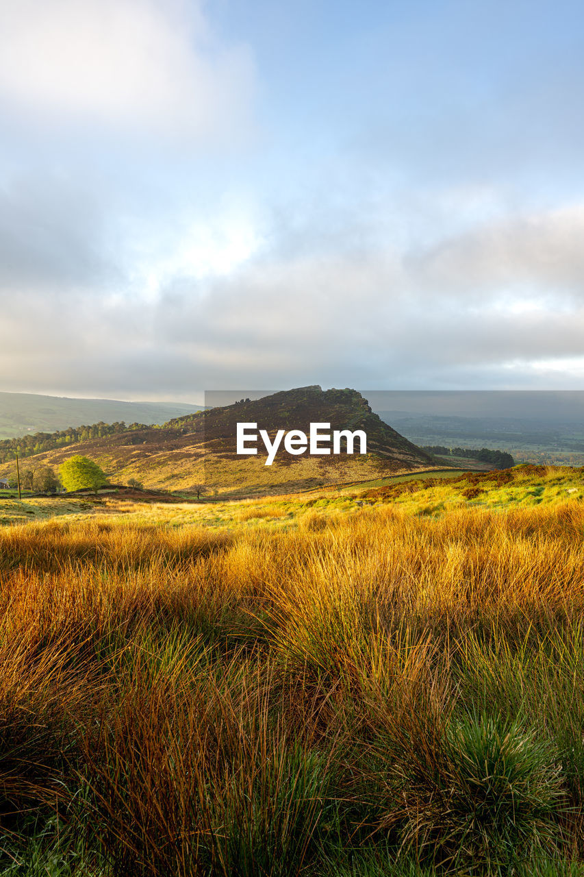 nature, sky, environment, landscape, grass, cloud, plant, horizon, natural environment, beauty in nature, scenics - nature, hill, land, grassland, prairie, morning, rural area, no people, wilderness, tranquility, field, tranquil scene, plain, meadow, non-urban scene, steppe, outdoors, tree, green, day, travel destinations, wetland, rural scene, marsh, sunlight, travel, water, tourism, autumn, dramatic sky