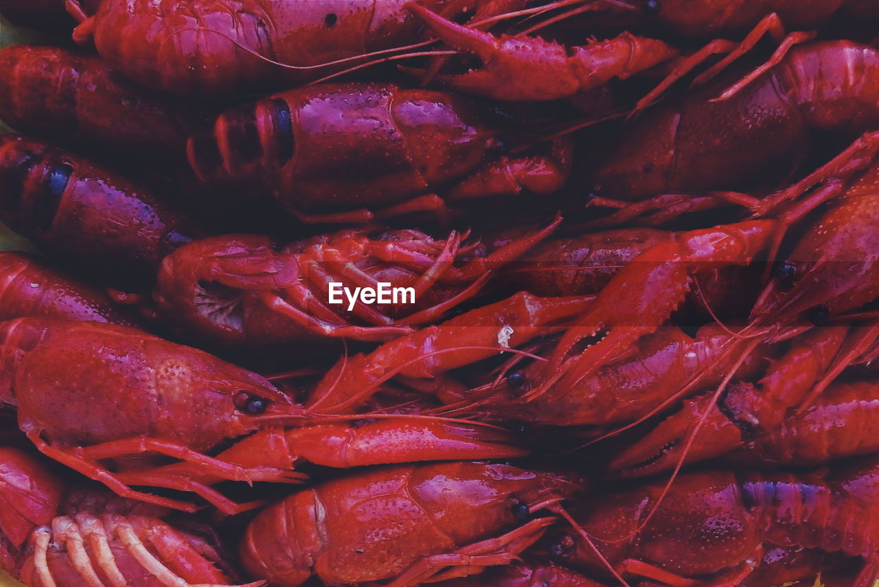 Full frame shot of boiled crayfish