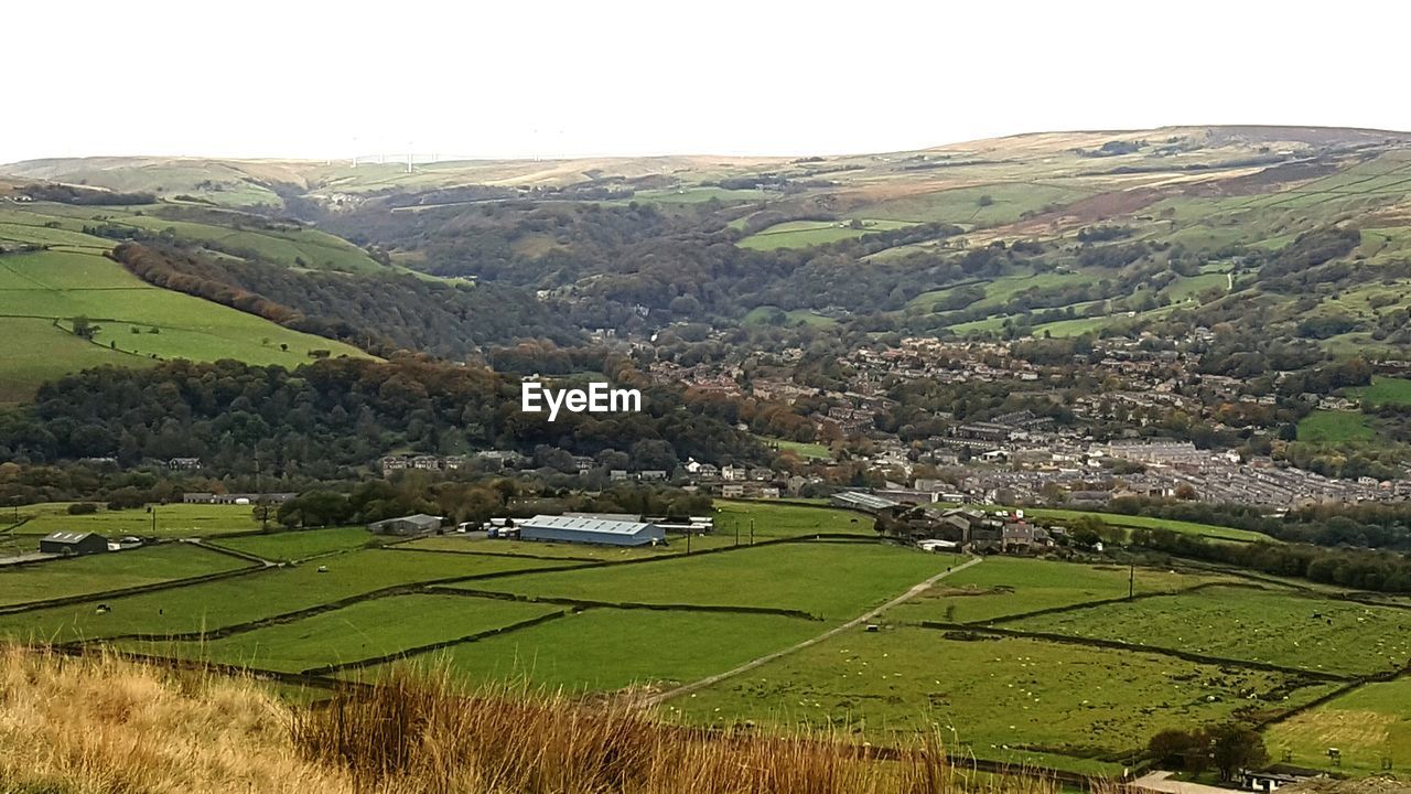 AERIAL VIEW OF A FIELD