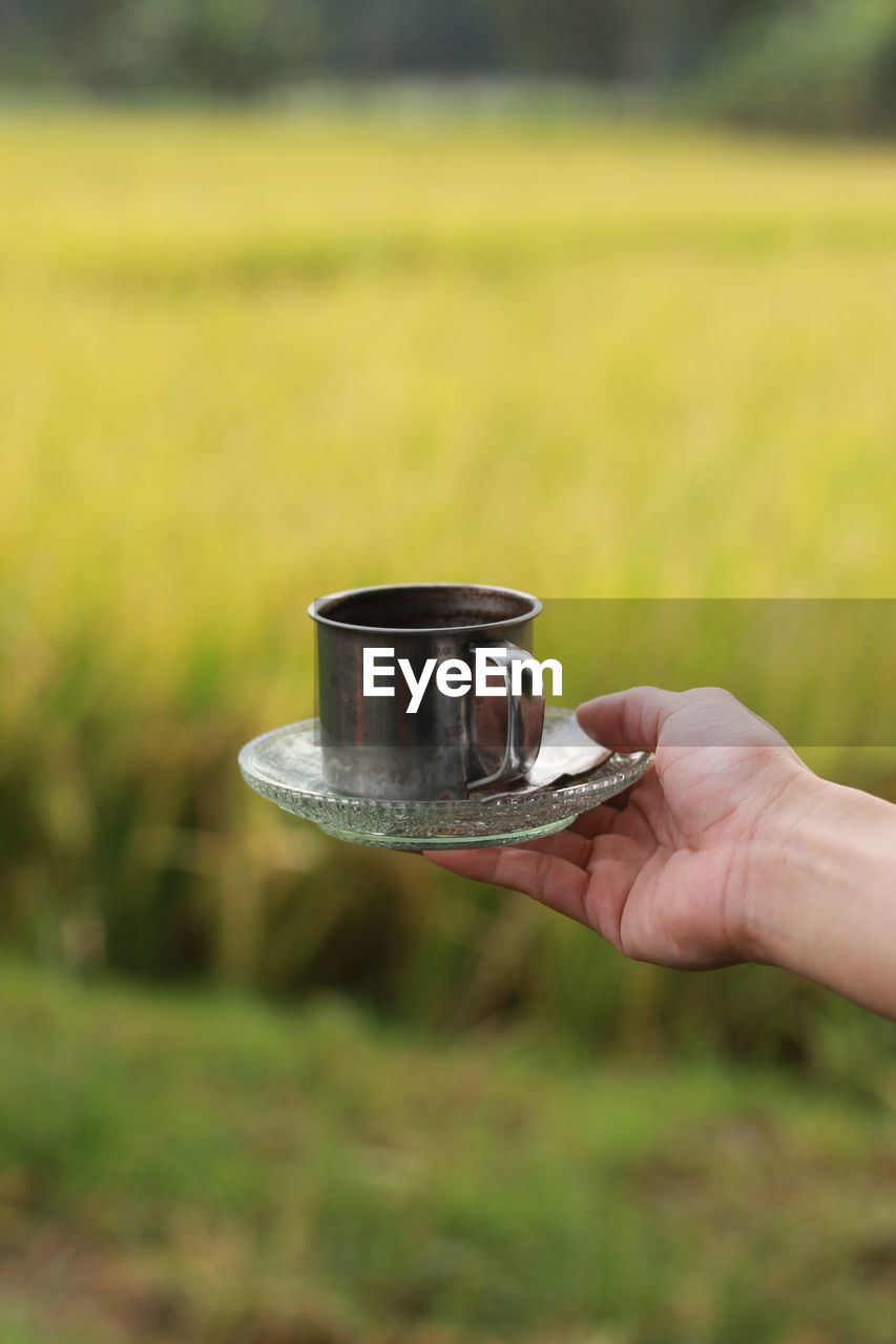 Close-up of hand holding coffee cup