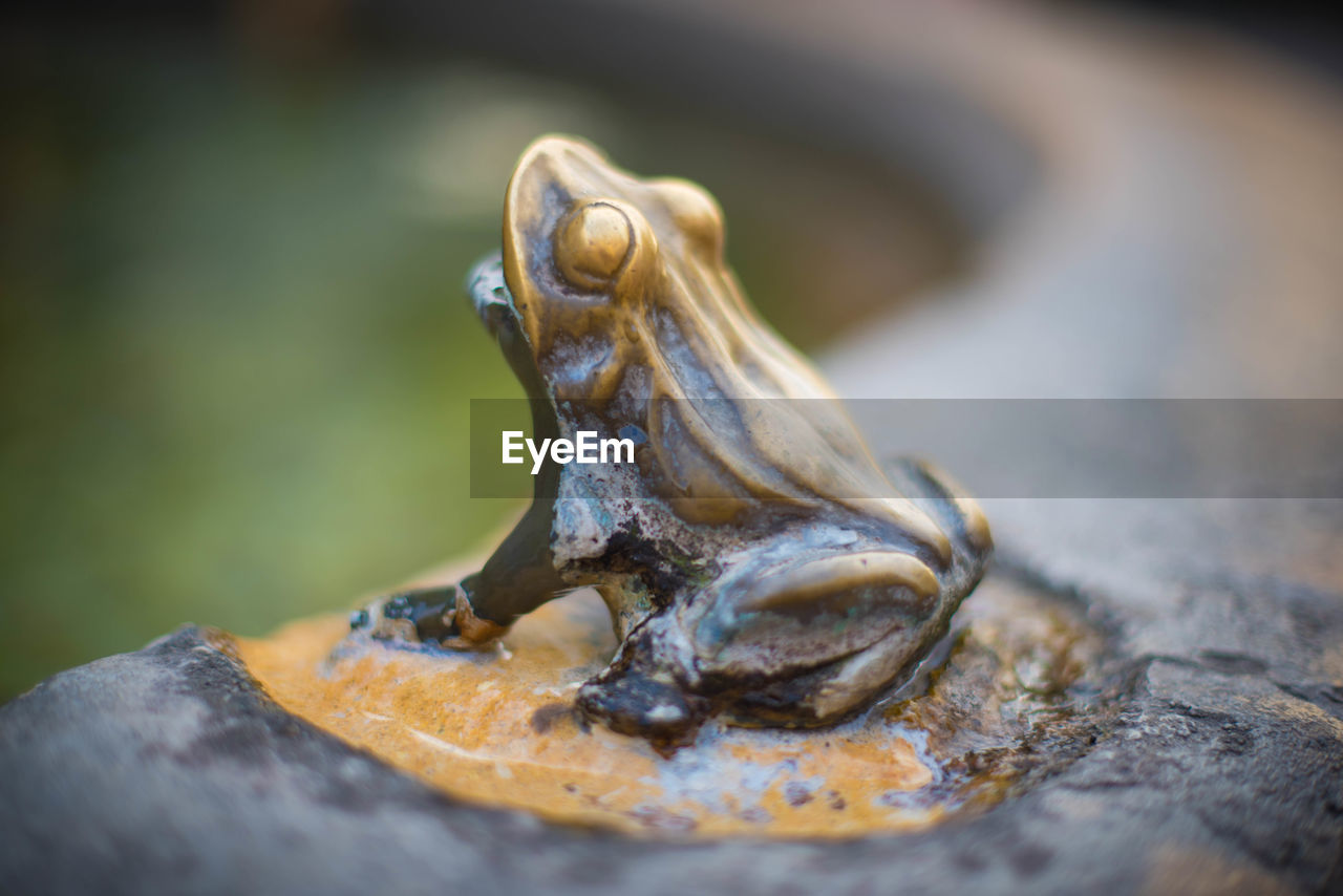 CLOSE-UP OF A STATUE OF METAL