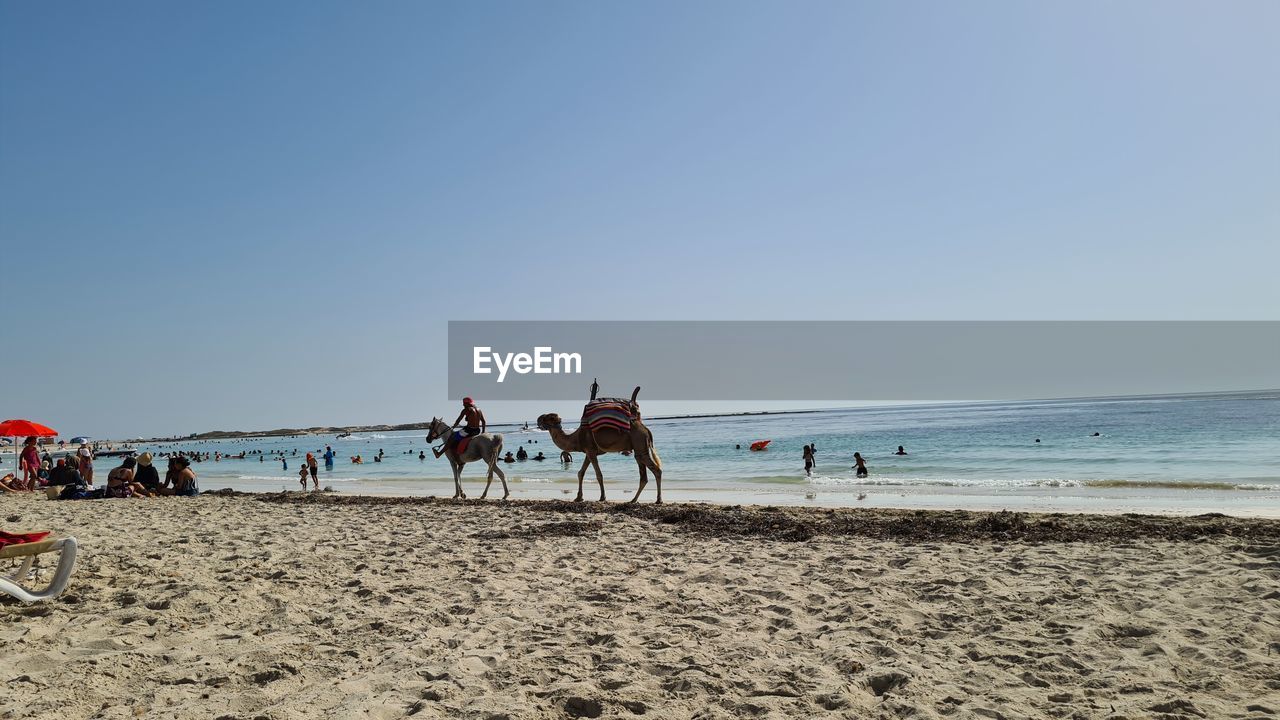 PEOPLE RIDING HORSE ON BEACH