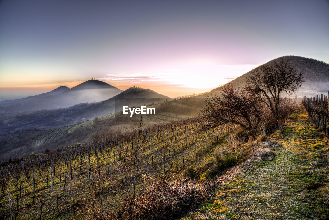 Scenic view of landscape against sky during sunset