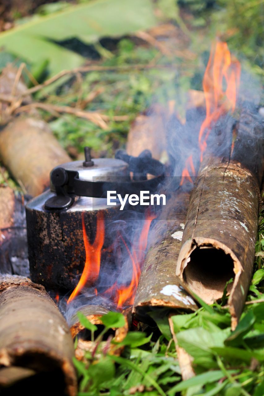 FIRE HYDRANT ON LOG IN BARBECUE