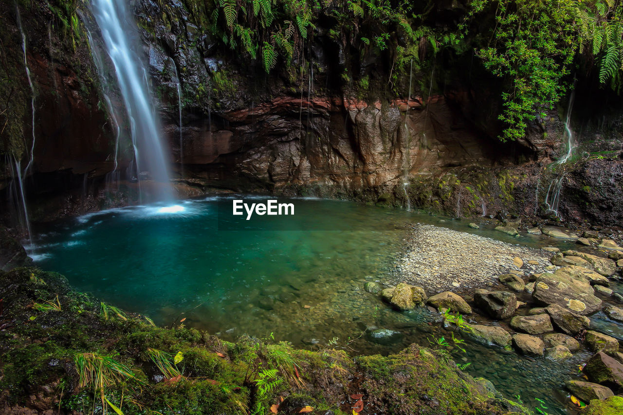 WATERFALL IN FOREST