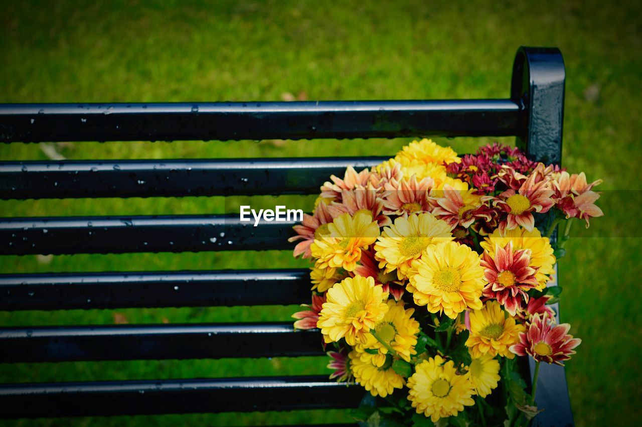 Close-up of flower bouquet on bench at aden country park
