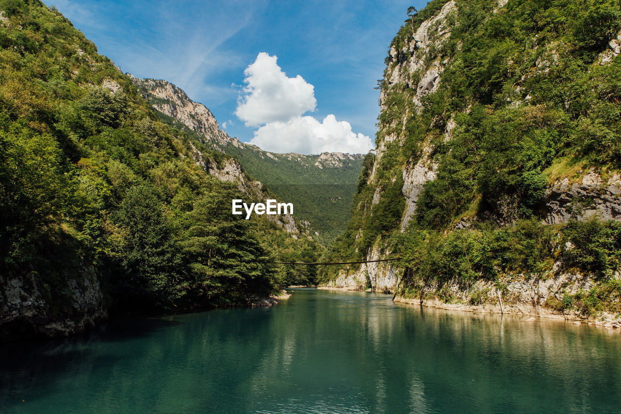 Scenic view of river amidst trees against sky