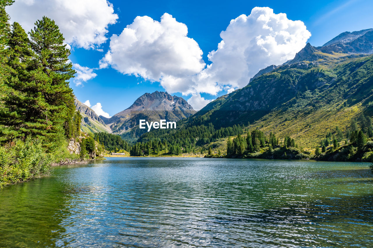 A view of the cavlocc lake, in engadine, switzerland, and the mountains that surround it.