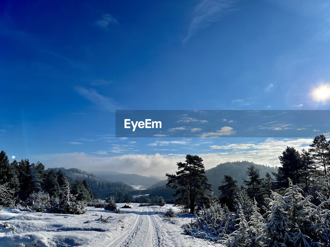 snow, sky, winter, cold temperature, tree, plant, scenics - nature, nature, cloud, mountain, environment, landscape, beauty in nature, blue, mountain range, pine tree, tranquil scene, coniferous tree, tranquility, pinaceae, forest, land, non-urban scene, no people, transportation, road, sunlight, frozen, the way forward, travel, pine woodland, outdoors, white, travel destinations, day, remote, woodland