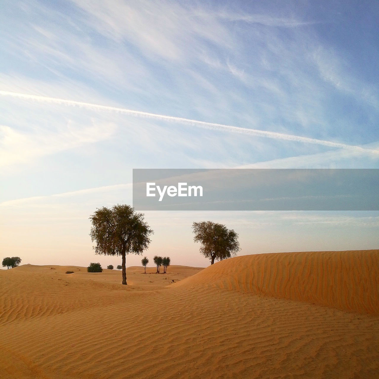 SCENIC VIEW OF SAND DUNE IN DESERT AGAINST SKY