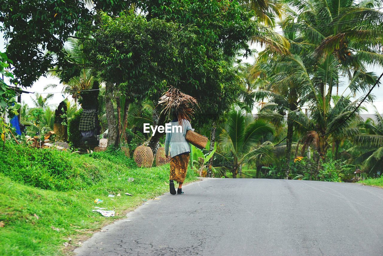 Rear view of woman transporting bundle of palm leaves on her head