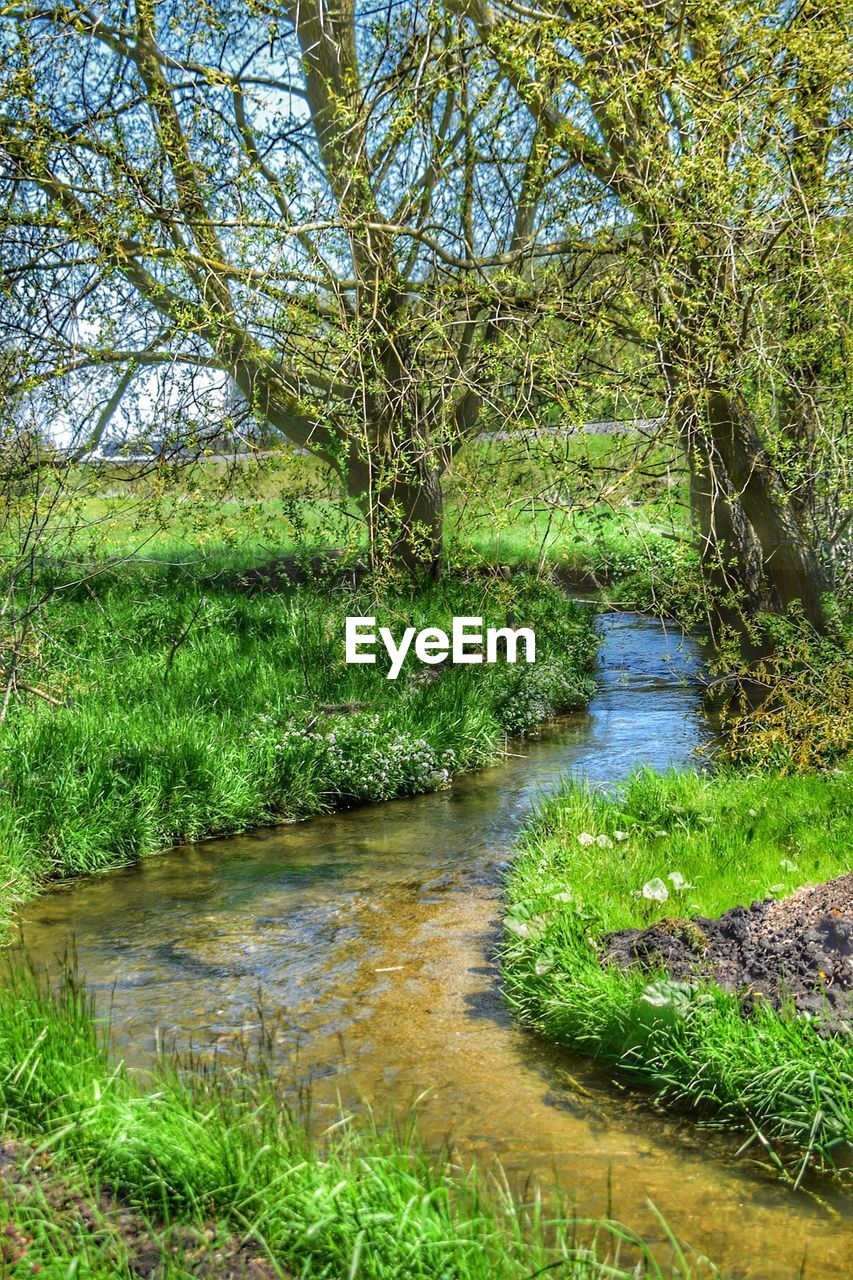 STREAM FLOWING IN RIVER