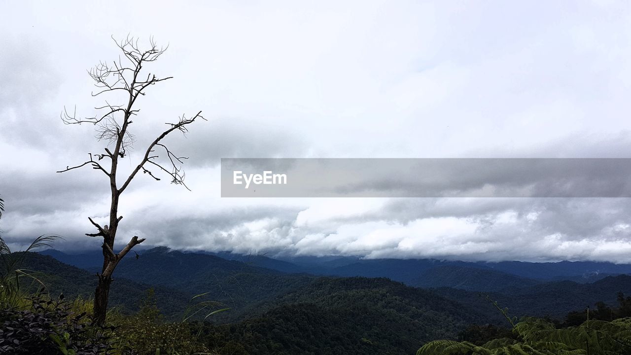 SCENIC VIEW OF MOUNTAIN AGAINST SKY