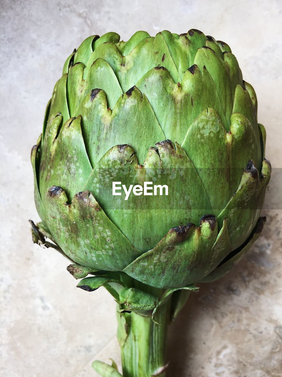 High angle view of artichoke on table