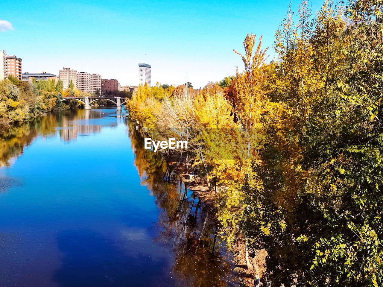 TREES BY RIVER AGAINST SKY IN CITY