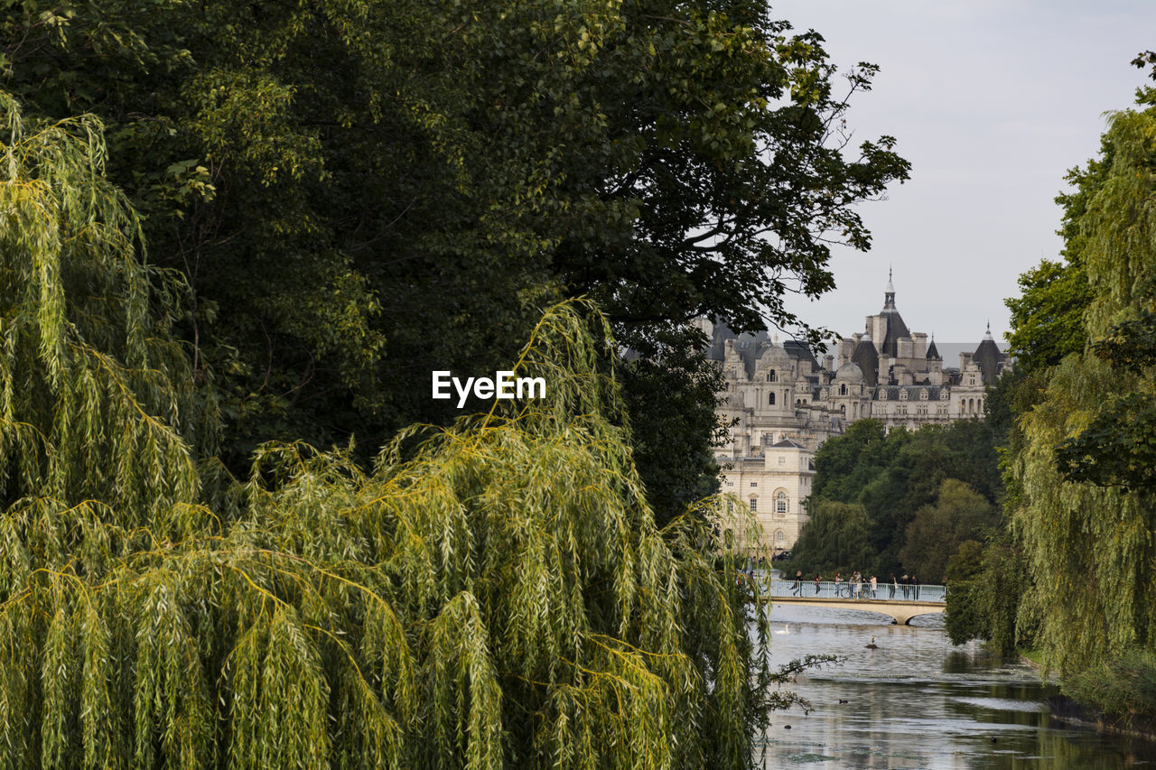 Panoramic view of river amidst trees against sky