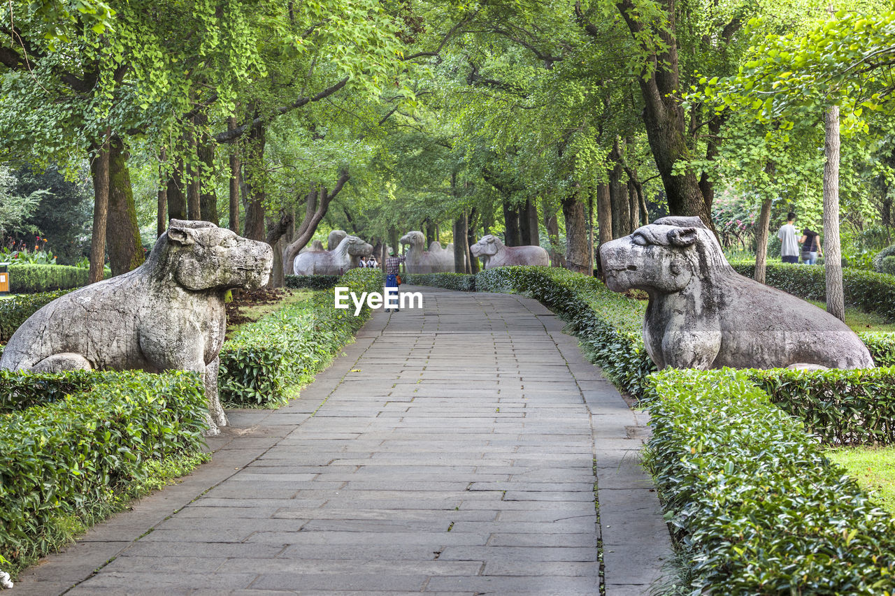 Footpath by statues at ming xiaoling mausoleum