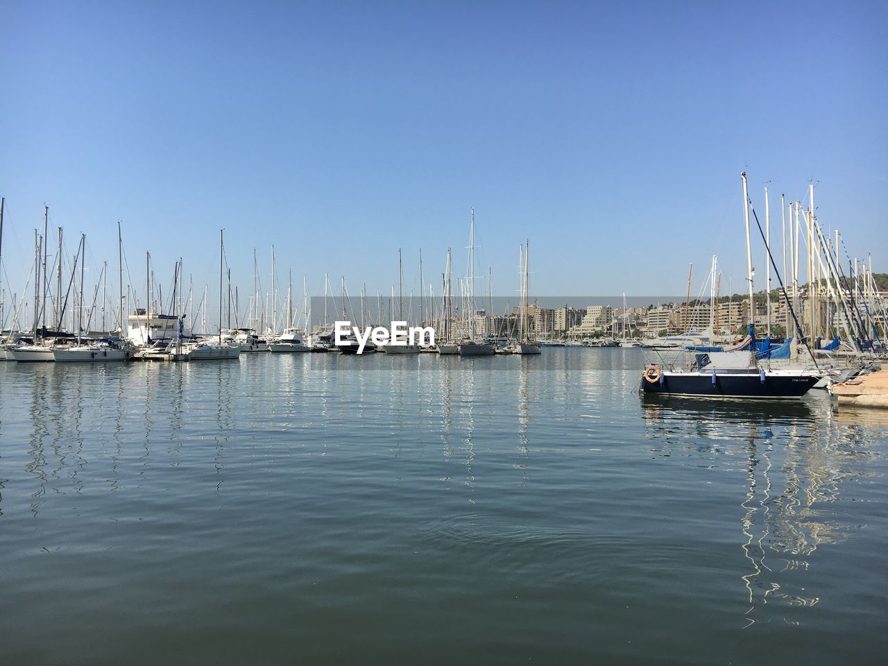 Sailboats in sea