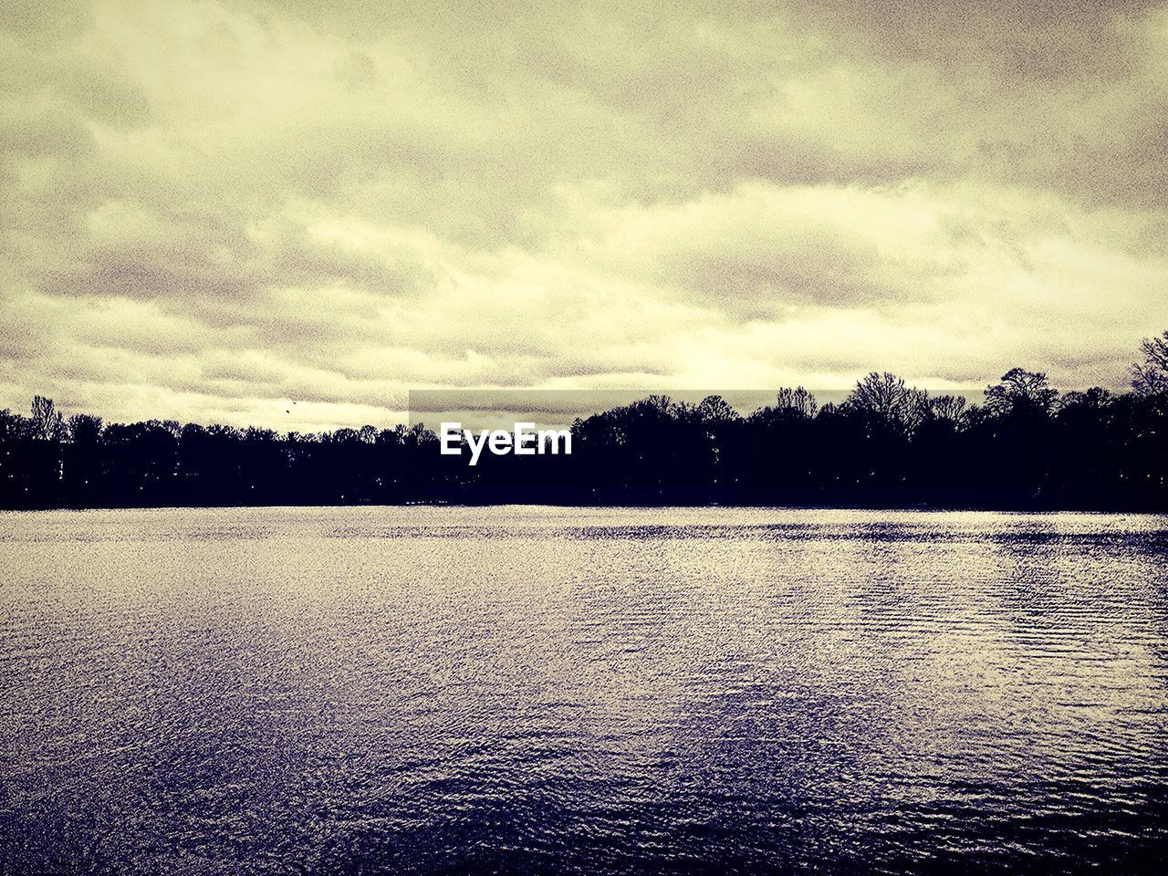 Silhouette trees by river