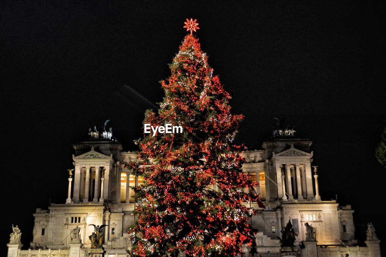 Low angle view of illuminated christmas tree at night