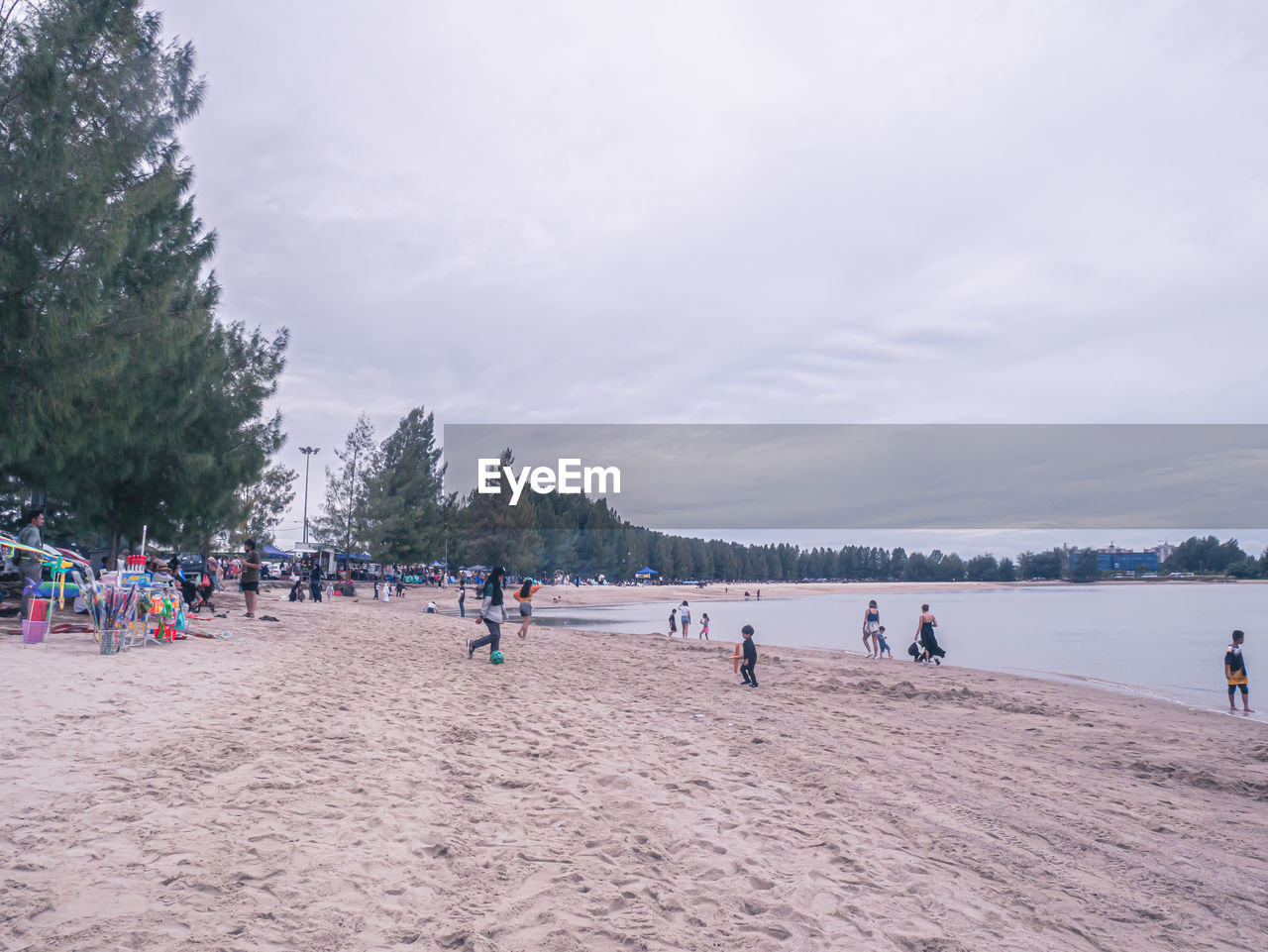 body of water, group of people, land, sky, large group of people, beach, crowd, water, nature, sea, holiday, shore, tree, cloud, sand, vacation, trip, leisure activity, sports, day, lifestyles, men, scenics - nature, travel destinations, plant, travel, outdoors, coast, beauty in nature, tourism, women, adult, enjoyment, environment, winter