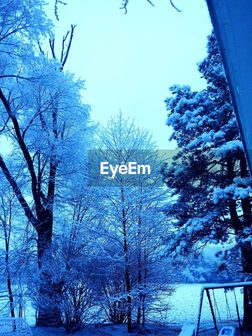 Low angle view of snow covered trees against sky