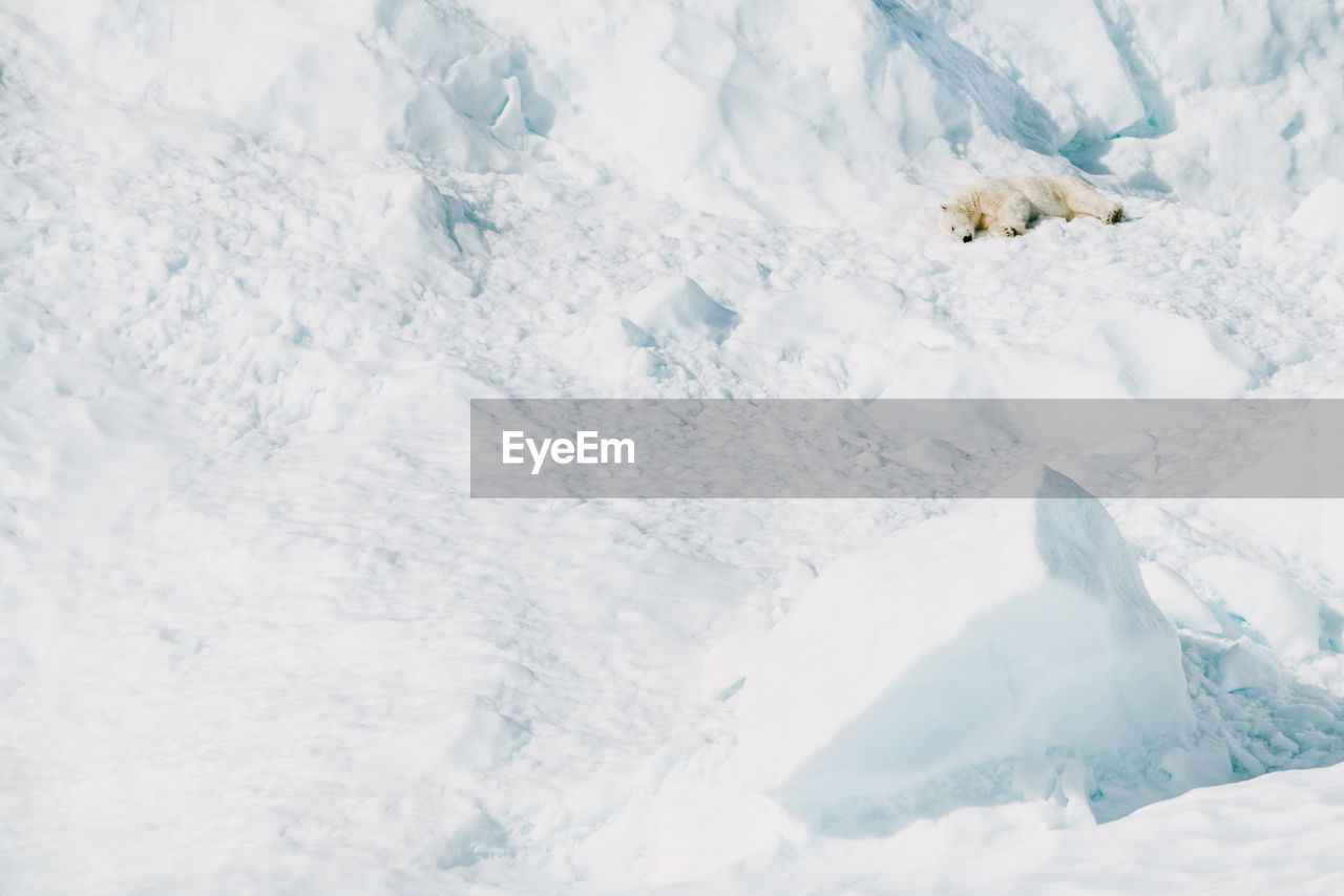 high angle view of snow covered landscape