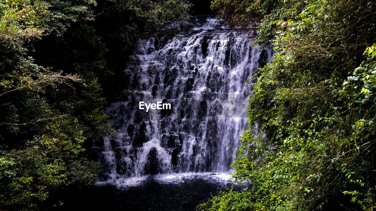 Scenic view of waterfall in forest