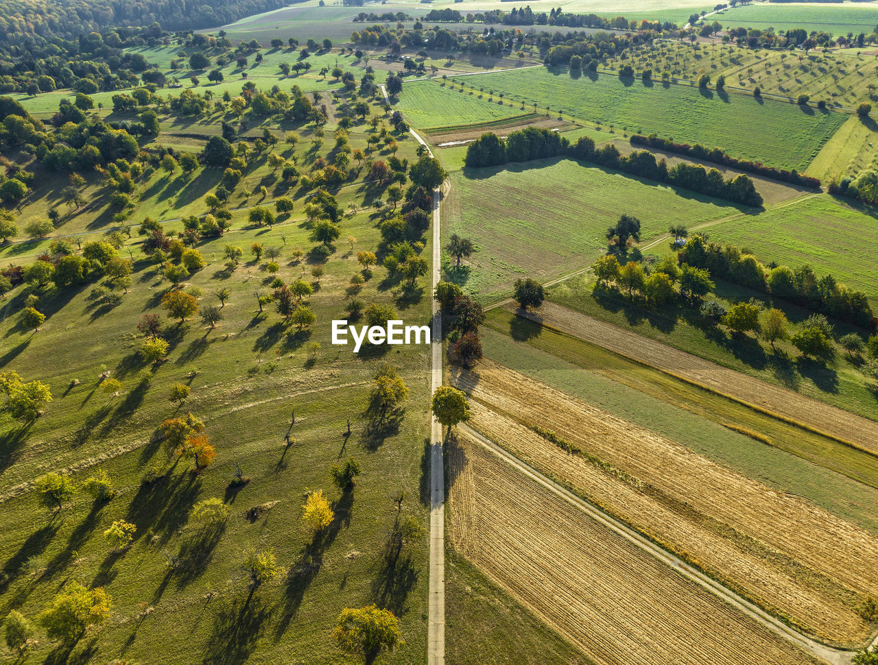 HIGH ANGLE VIEW OF AGRICULTURAL LAND